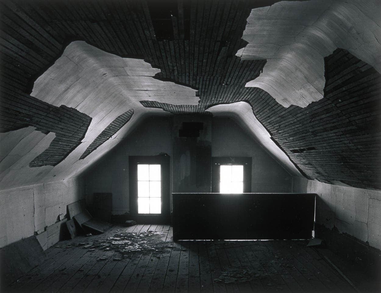 アートシアター NR １ An interactive 'junglescape' is coming to the courtyard of MoMA